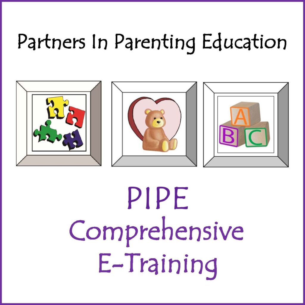 PIPE Comprehensive e-training icon