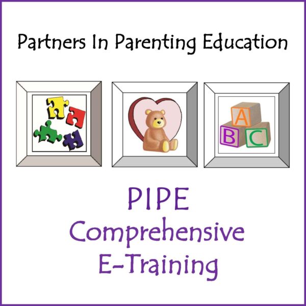 PIPE Comprehensive e-training icon